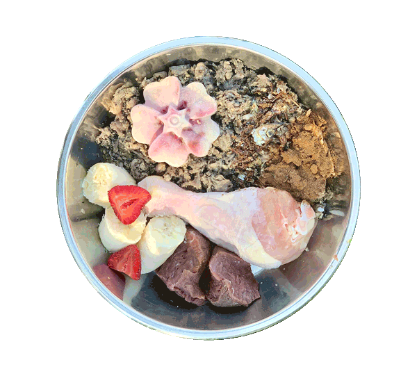 How Much Raw Food Do I Feed My Dog Calculator